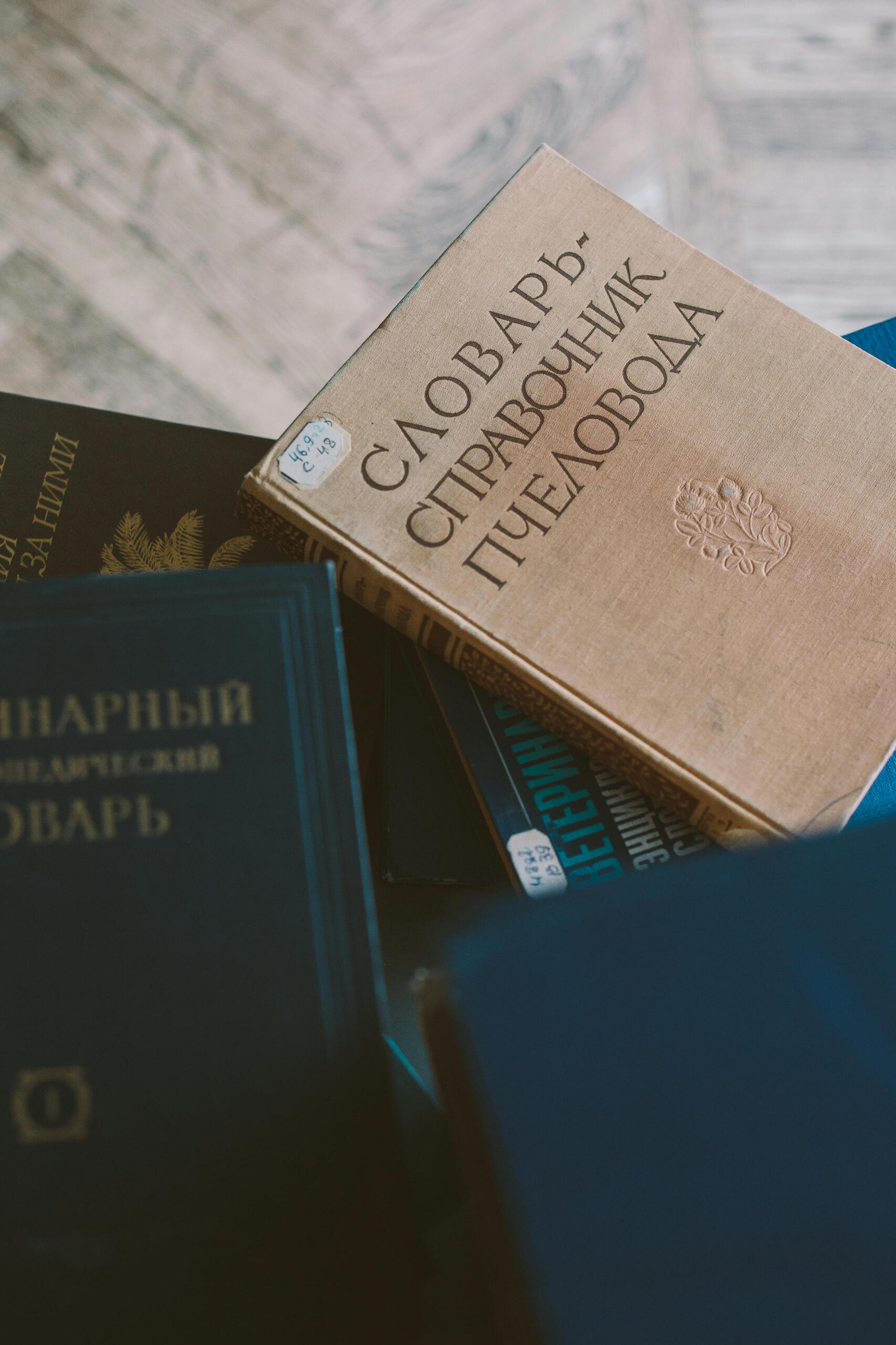 Russian Dictionary Books representing language learning